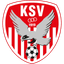 Kapfenberger SV 1919