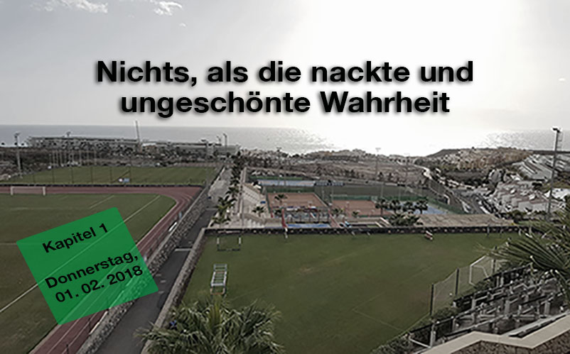 Nichts als die nackte und ungeschonte Wahrheit 2